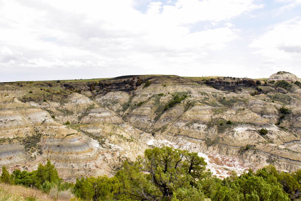 Learn how to avoid making the most common mistakes made by national park visitors. Avoiding these mistakes will increase your enjoyment of the visit.