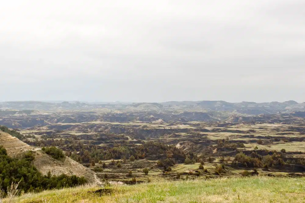 Make the most of your one day visit to Theodore Roosevelt National Park. Teddy Roosevelt National Park is the only national park in North Dakota but its badlands and wildlife is one not to be missed. Check out how to spend one day in Theodore Roosevelt National Park