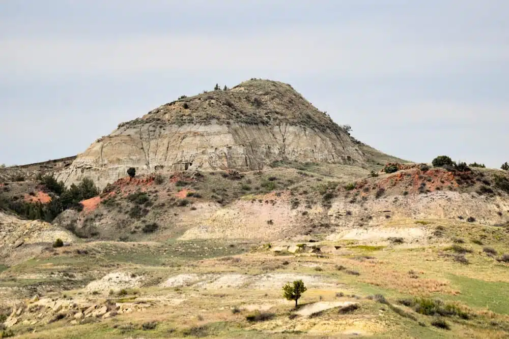 Make the most of your one day visit to Theodore Roosevelt National Park. Teddy Roosevelt National Park is the only national park in North Dakota but its badlands and wildlife is one not to be missed. Check out how to spend one day in Theodore Roosevelt National Park