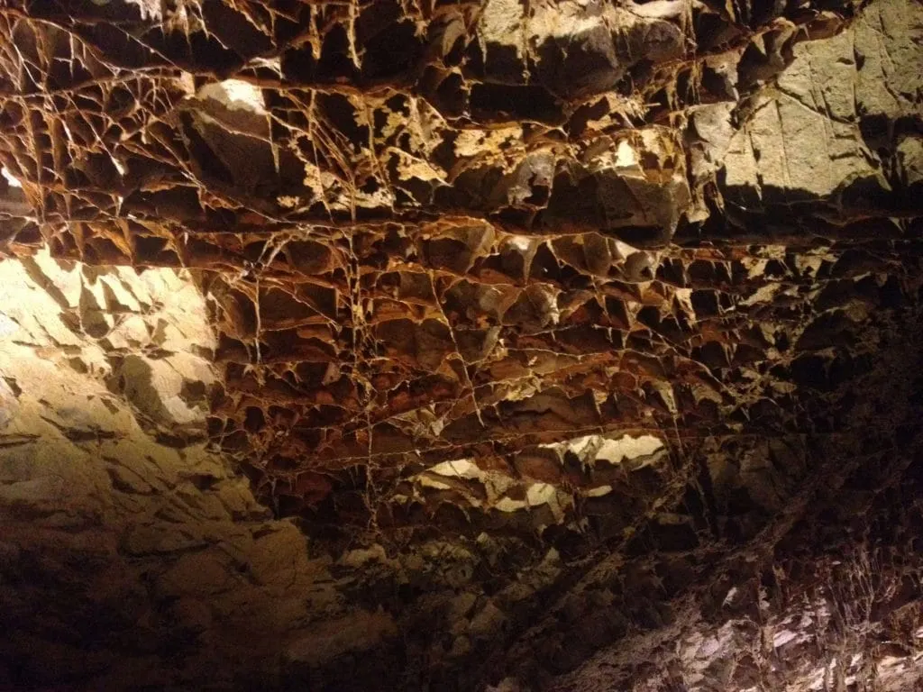 box work wind cave national park