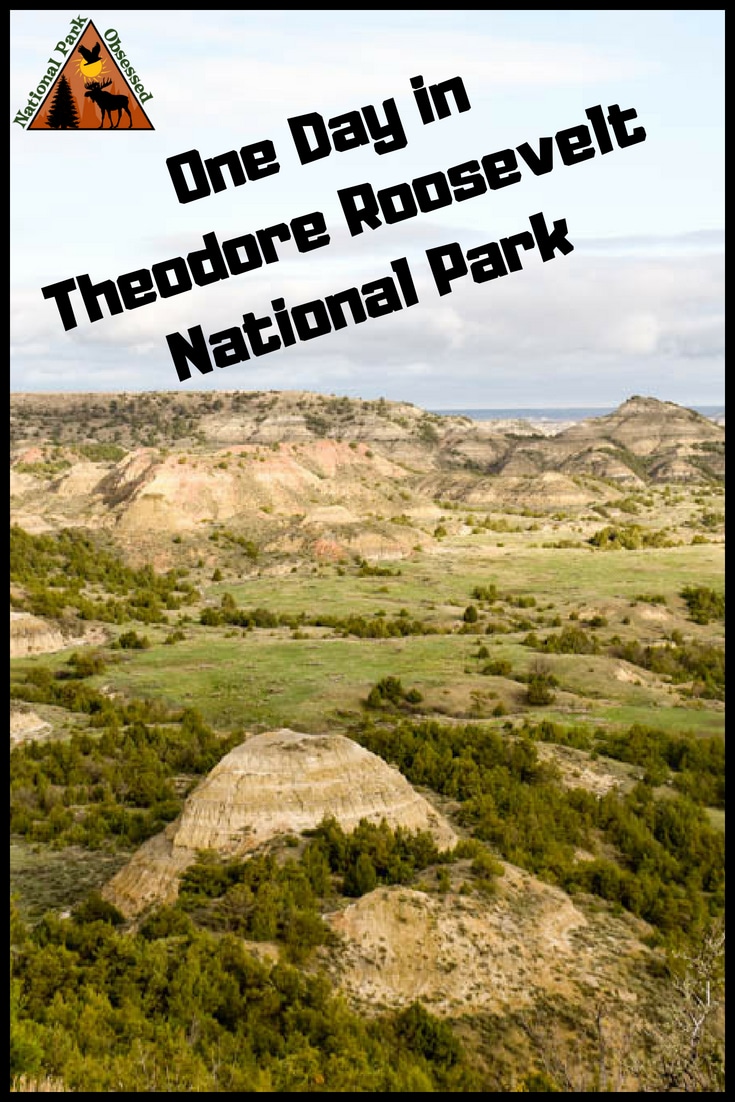 Make the most of your one day visit to Theodore Roosevelt National Park. Teddy Roosevelt National Park is the only national park in North Dakota but its badlands and wildlife is one not to be missed. Check out how to spend one day in Theodore Roosevelt National Park.
#NationalPark #NationalParks