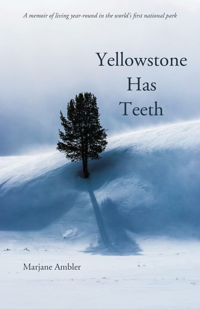 Yellowstone Has Teeth" by Marjane Ambler: Alt text: "Thought-provoking cover of 'Yellowstone Has Teeth' by Marjane Ambler, depicting a lone tree against Yellowstone's winter backdrop, an intriguing memoir for Yellowstone Books readers.