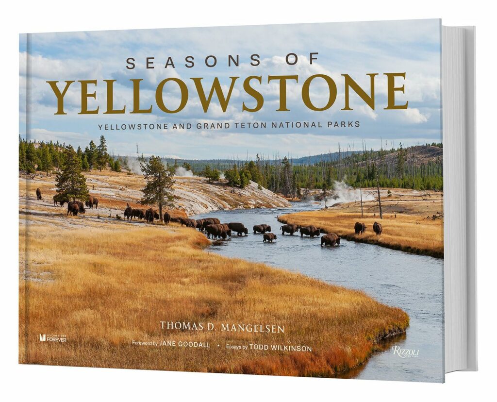 Seasons of Yellowstone": Alt text: "Hardcover edition of 'Seasons of Yellowstone' featuring a scenic view of bison grazing near geysers, encapsulating the natural beauty of Yellowstone, a picturesque addition to Yellowstone Books.
