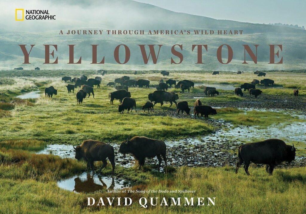 Yellowstone" by David Quammen: Alt text: "Book cover of 'Yellowstone' by David Quammen, showing a serene image of bison in a misty field, a profound journey through America's wild heart for Yellowstone Books lovers.
