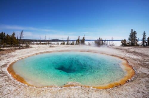 A vibrant geothermal pool with steaming blue water at the center, encircled by a ring of brilliant orange deposits, set against a landscape of sparse trees and a clear sky, at Yellowstone National Park.
