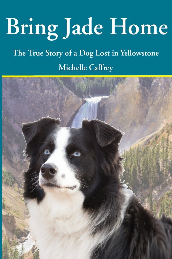 Bring Jade Home" by Michelle Caffrey: Alt text: "Captivating cover of 'Bring Jade Home' by Michelle Caffrey, telling the true story of a lost dog in Yellowstone, a heartwarming tale for any Yellowstone Books library.
