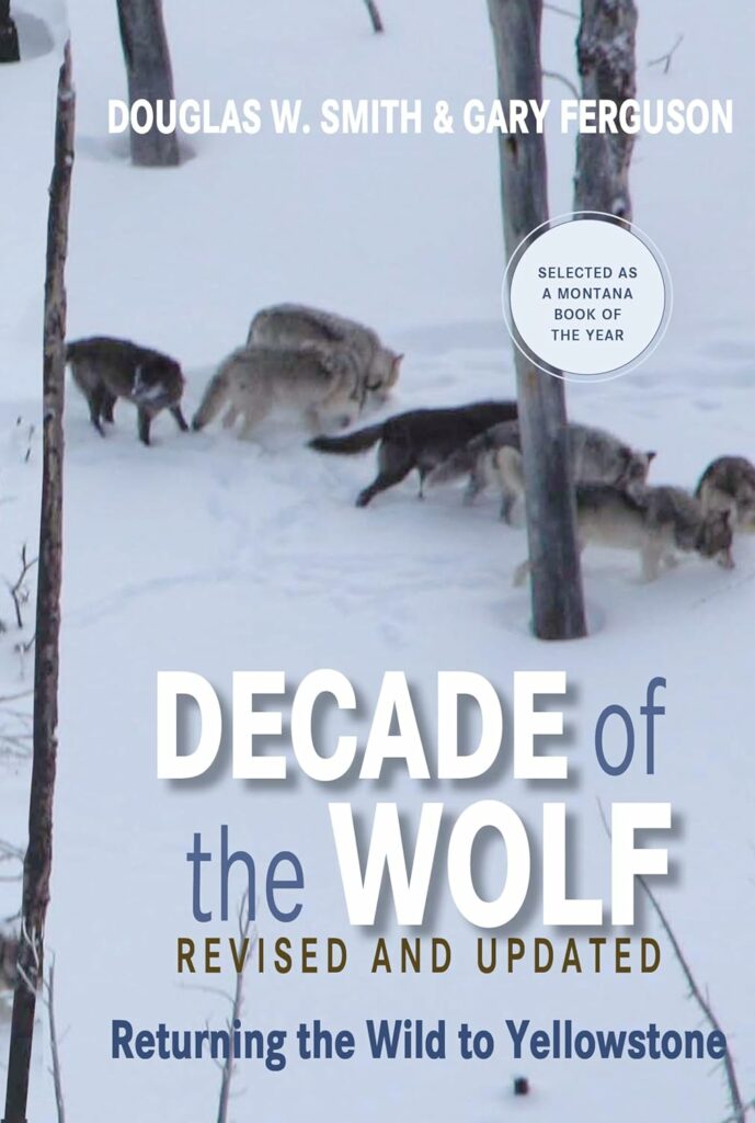Decade of the Wolf" by Douglas W. Smith & Gary Ferguson: Alt text: "Cover of 'Decade of the Wolf' by Smith & Ferguson, capturing a pack of wolves in the snowy landscape of Yellowstone, reflecting the essence of Yellowstone Books.