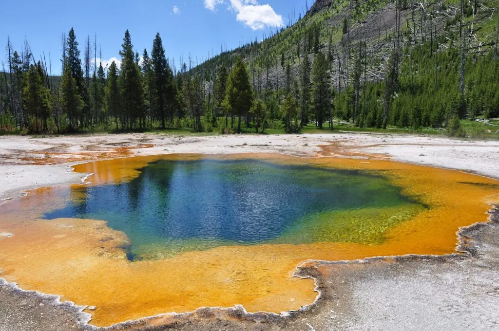 One day isn't enough but if one day in Yellowstone National Park is all you have. Make the most of it by hitting the highlights on a tour of the Grand Loop.