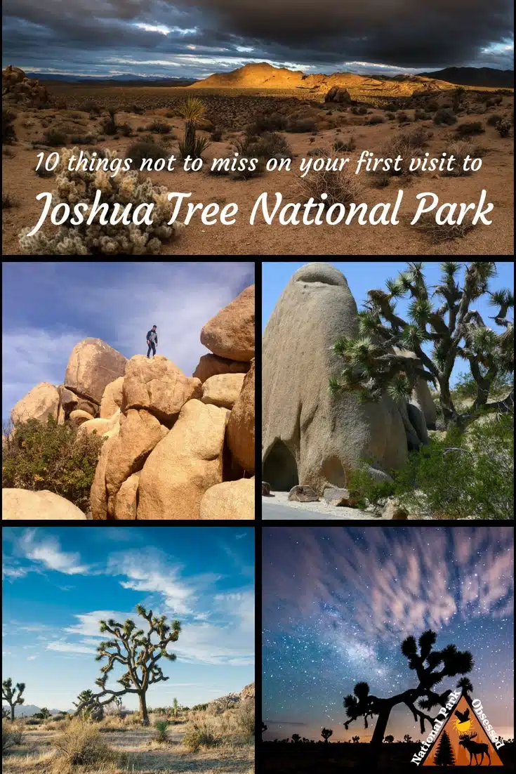 Looking to discover the unique beauty of Joshua Tree? Find out the top 10 things you shouldn't miss on your first visit to Joshua Tree National Park. #JoshuaTree #JoshuaTreeNPS #JoshuaTreeNationalPark #NationalParks #NationalPark #findyourpark #nationalparkgeek #nationalparkobsessed