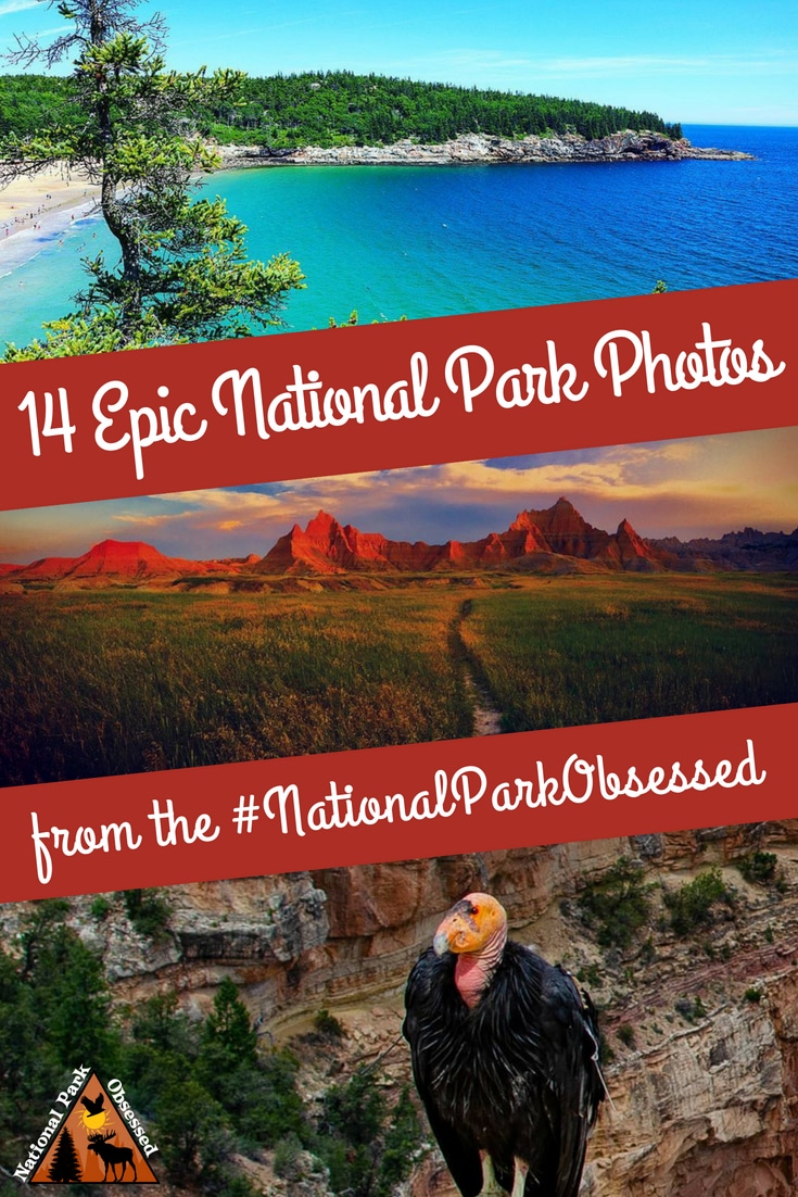 Check out some of the most epic national park photos from the #NationalParkObsessed community. July 2018 has been a hoot and here are the best photos. #nationalparkgeek #findyourpark #nationalpark #nps #nationalparks 