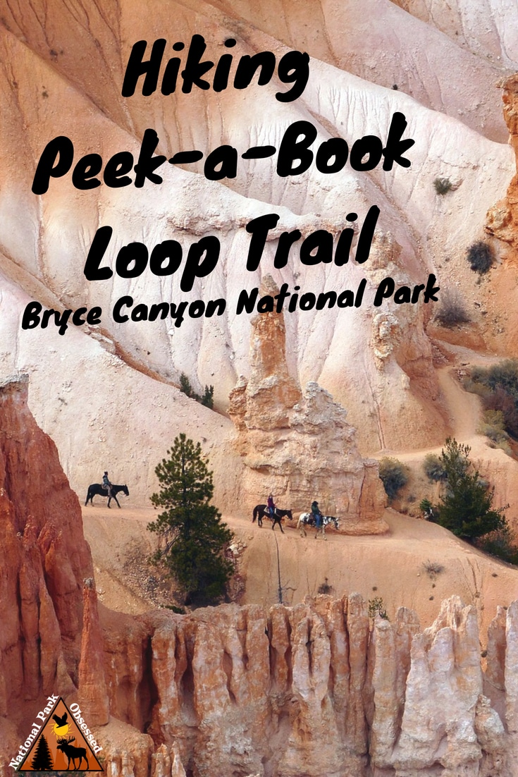 Looking to get a closer look at the #hoodoos of Bryce Amphitheater? Hike the Peek-a-Boo Loop Trail for an amazing look a @BryceCanyonNPS hoodoos. #NationalparkObsessed #nationalparkgeek #utah #mighty5 #mightyfive #findyourpark