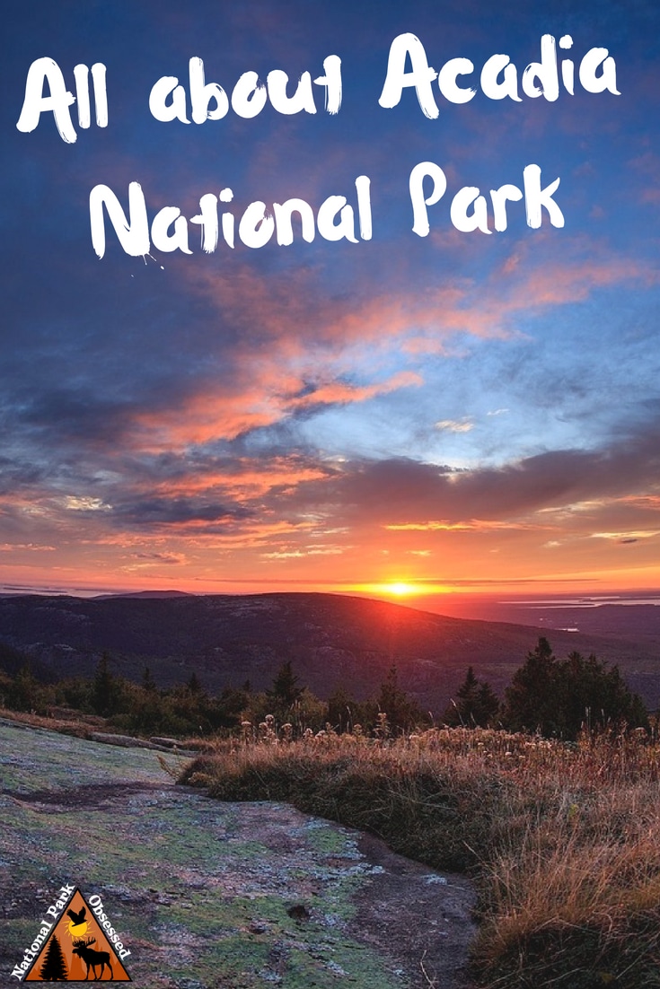 Planning to visit @AcadiaNPS? Don't know where to start. Let #NationalParkObsessed help you plan your trip to #Acadia with guides, itineraries, things to know and much much more.
#Nationalparkobsessed #nationalpark #findyourpark #nationalparkgeek