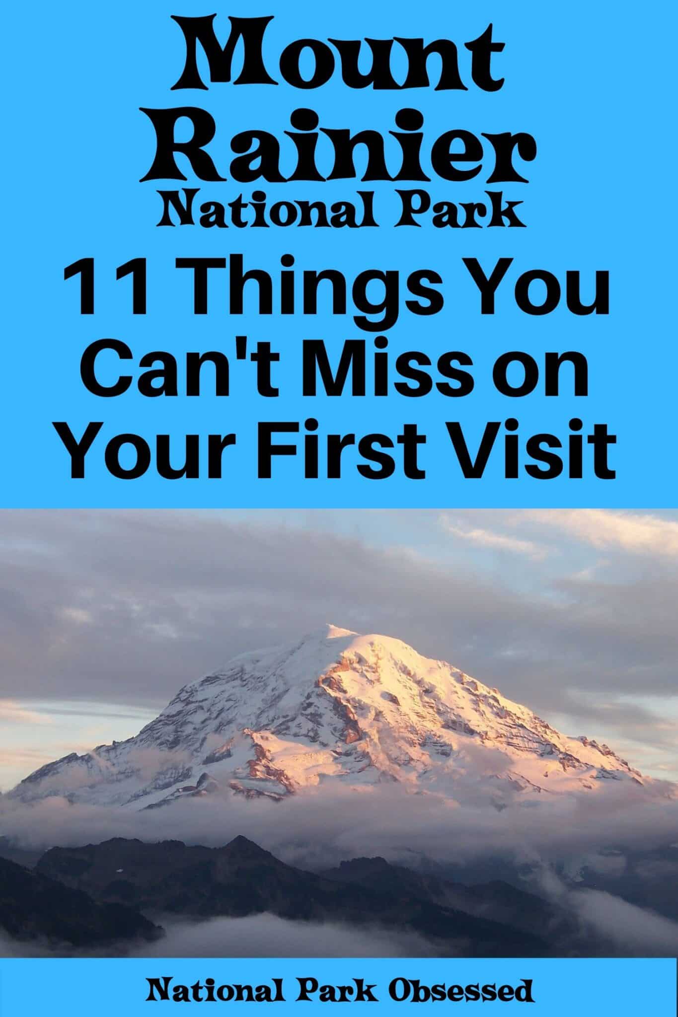 11 Things NOT To Miss On Your First Visit To Mount Rainier National