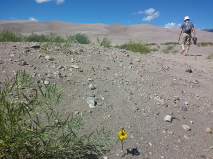 Learn about National Park Obsessed Community members Sarah and Lucas Villa-Kainec - Podcasts with Park Rangers. They are RV'ing around the United States.