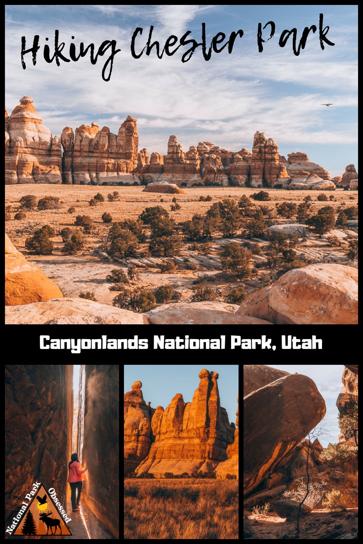 Heading down the Needles District of Canyonlands National Park?  Trying to decide which trail to hike?  Chesler Park Loop Trail is an excellent trail to check out the sights.    #canyonlandsnps #canyonlands #utah #mighty5 #mightfive #utahparks #findyourpark #nationalparkgeek #nationalparkobsessed