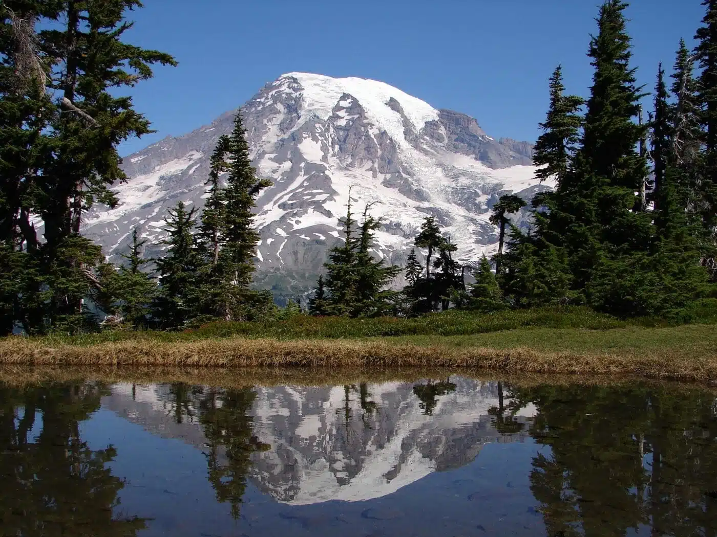 Things not to Miss on Your First Visit to Mount Rainier - Mount Rainier Reflection