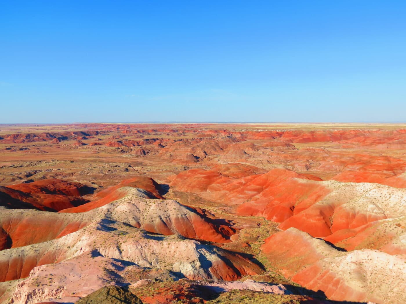 Petrified forest national park где находится