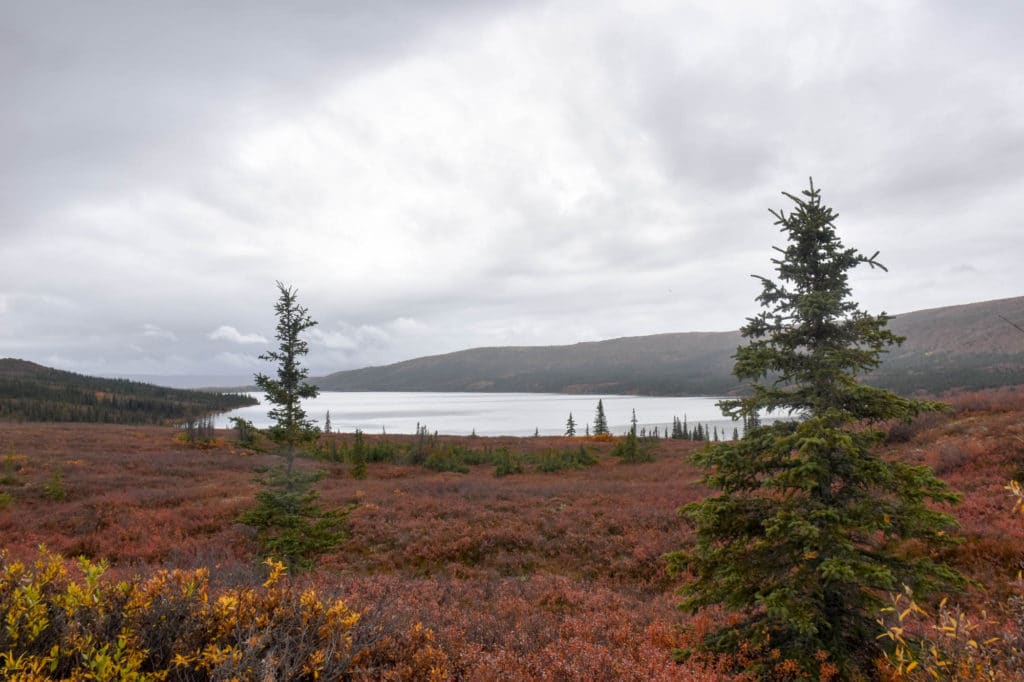 Denali National Park and Preserve
