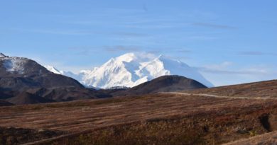 Denali Road Lottery – Everything You Need to Know Denali Road Lottery – Everything You Need to Know
