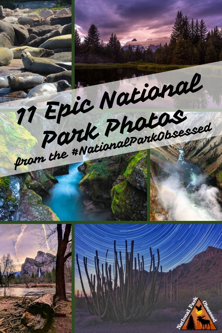 Check out some of the most epic national park photos from the #NationalParkObsessed community. August 2018 has been a hoot and here are the best photos.
#nationalparkgeek #findyourpark #nationalpark #nps #nationalparks