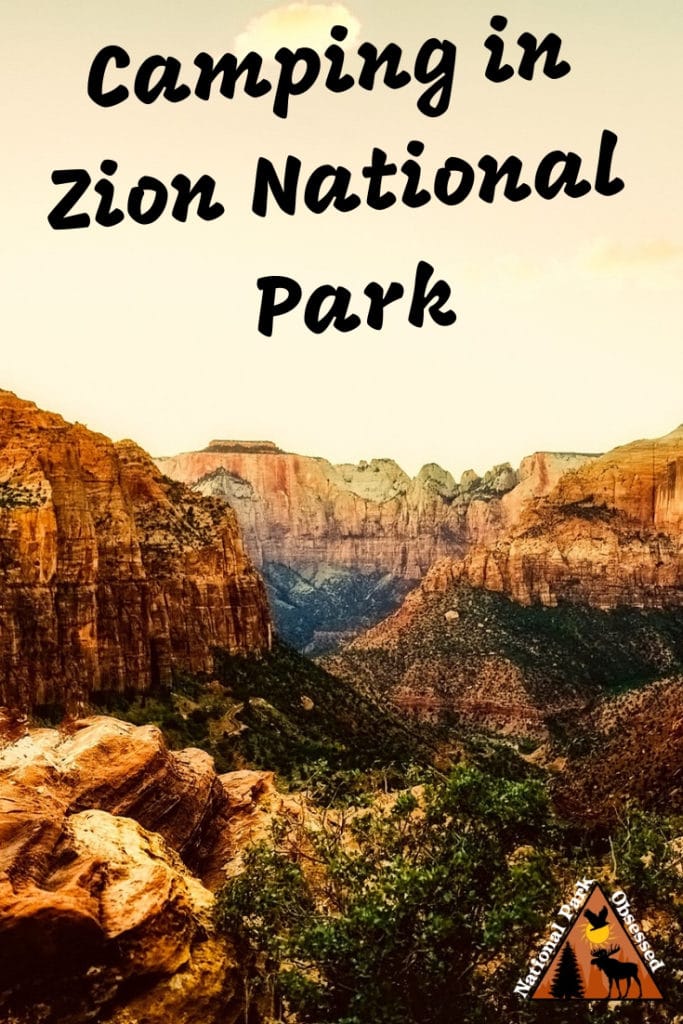 Zion National Park Camping Guide: Everything You Need To Know About ...