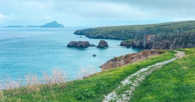 14 things not to miss on your first visit to Channel Islands National Park 14 things not to miss on your first visit to Channel Islands National Park