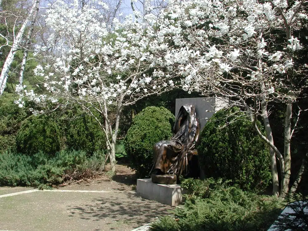 A statue surrounded by white flowering trees