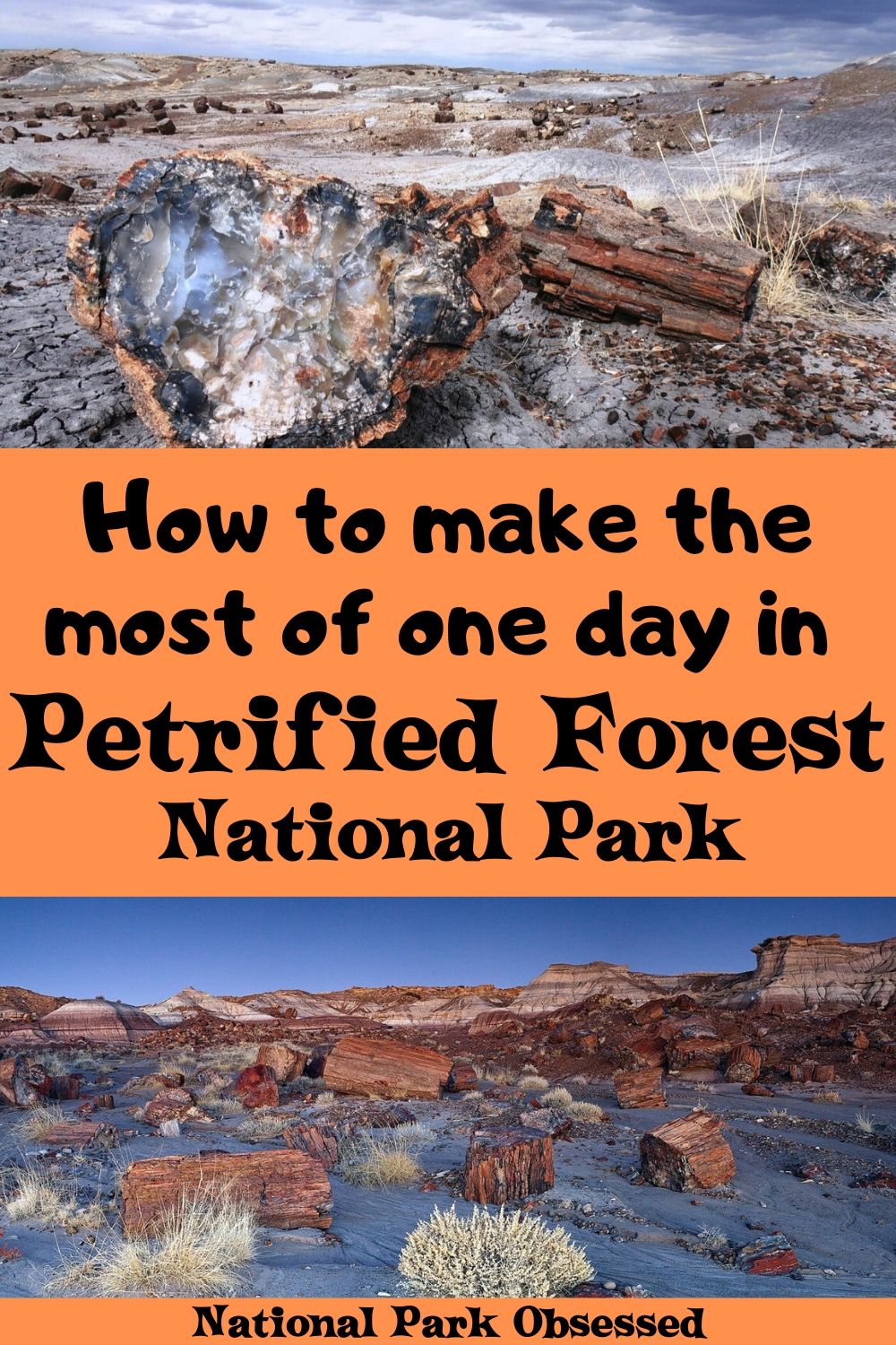 A Guide To Camping In The Painted Desert Of Petrified Forest National Park National Park Obsessed