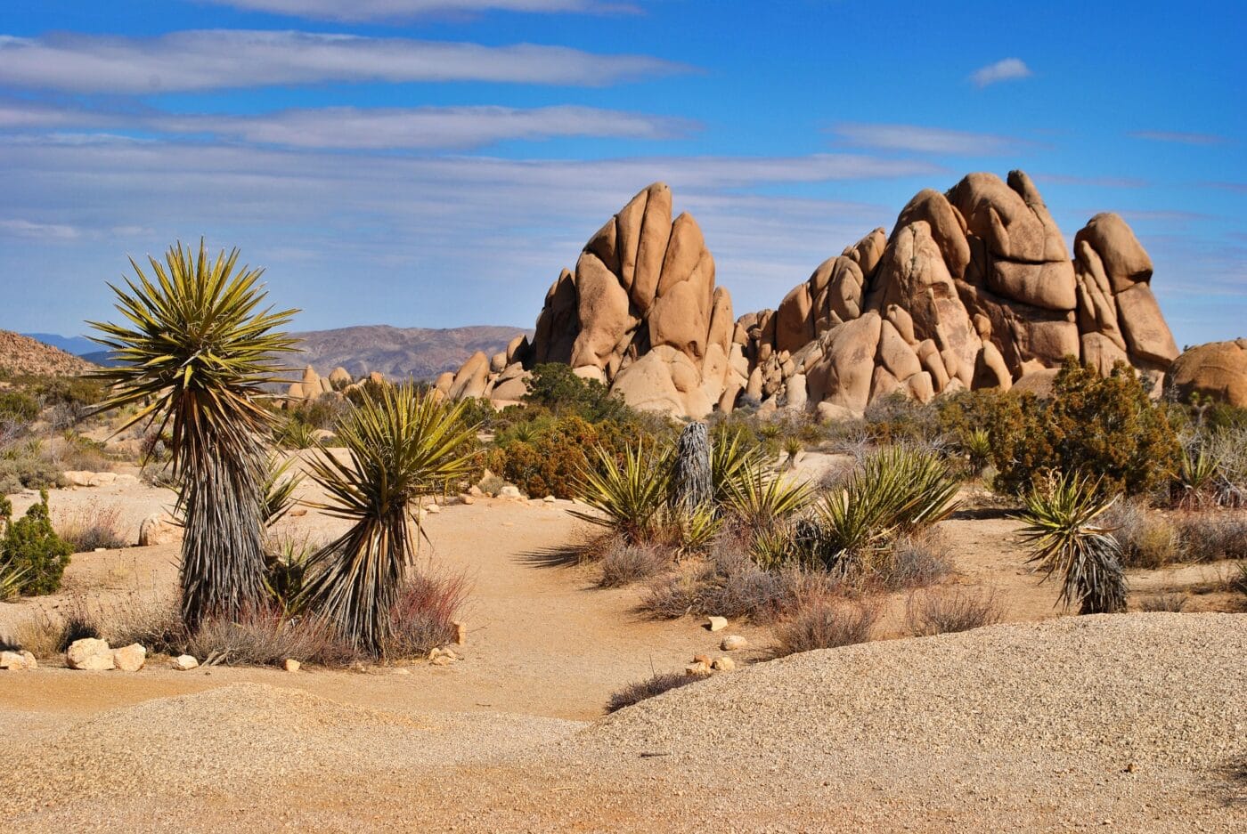 One Day in Joshua Tree National Park - Jumbo Rocks