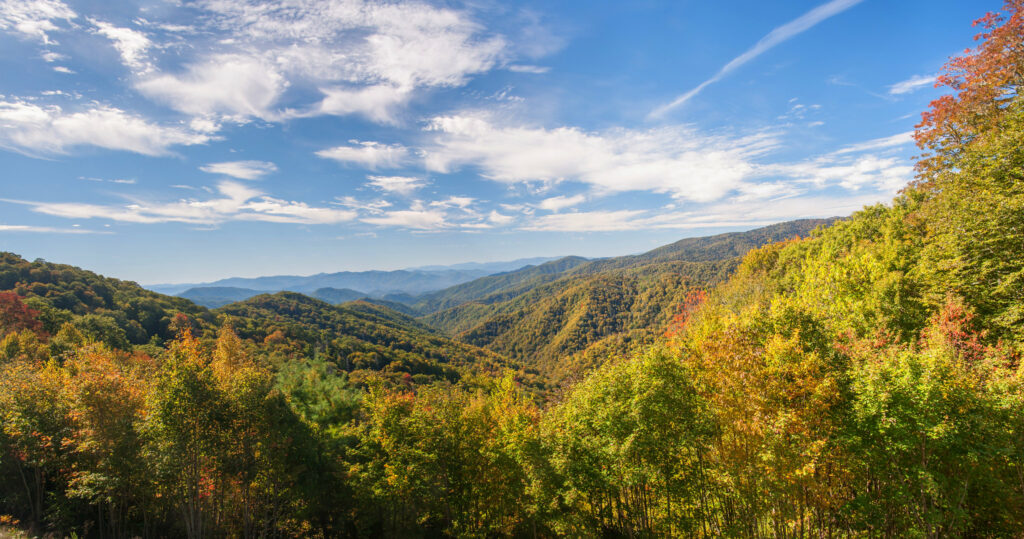 Great Smoky Mountains Fall