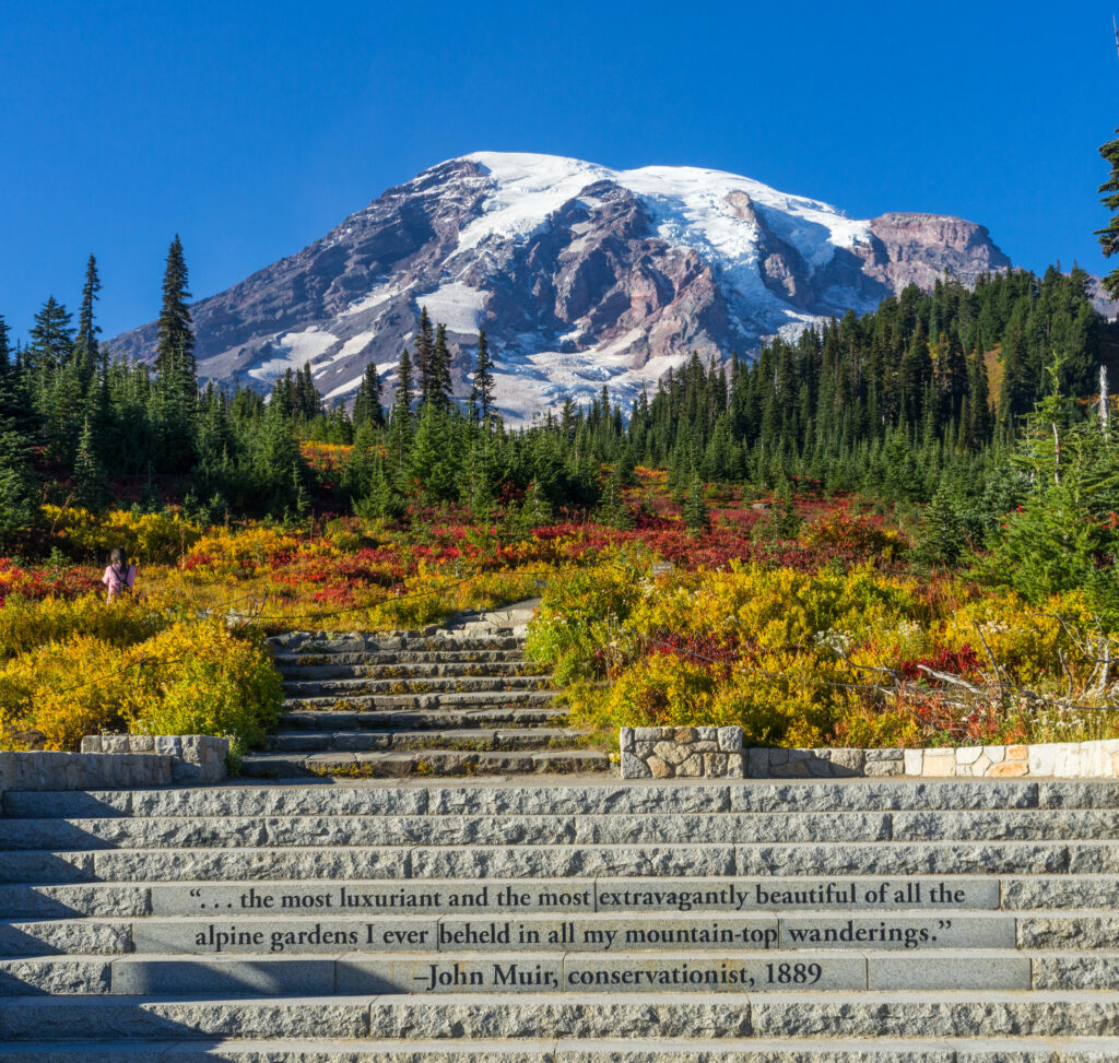 Mount Rainier with fall colors