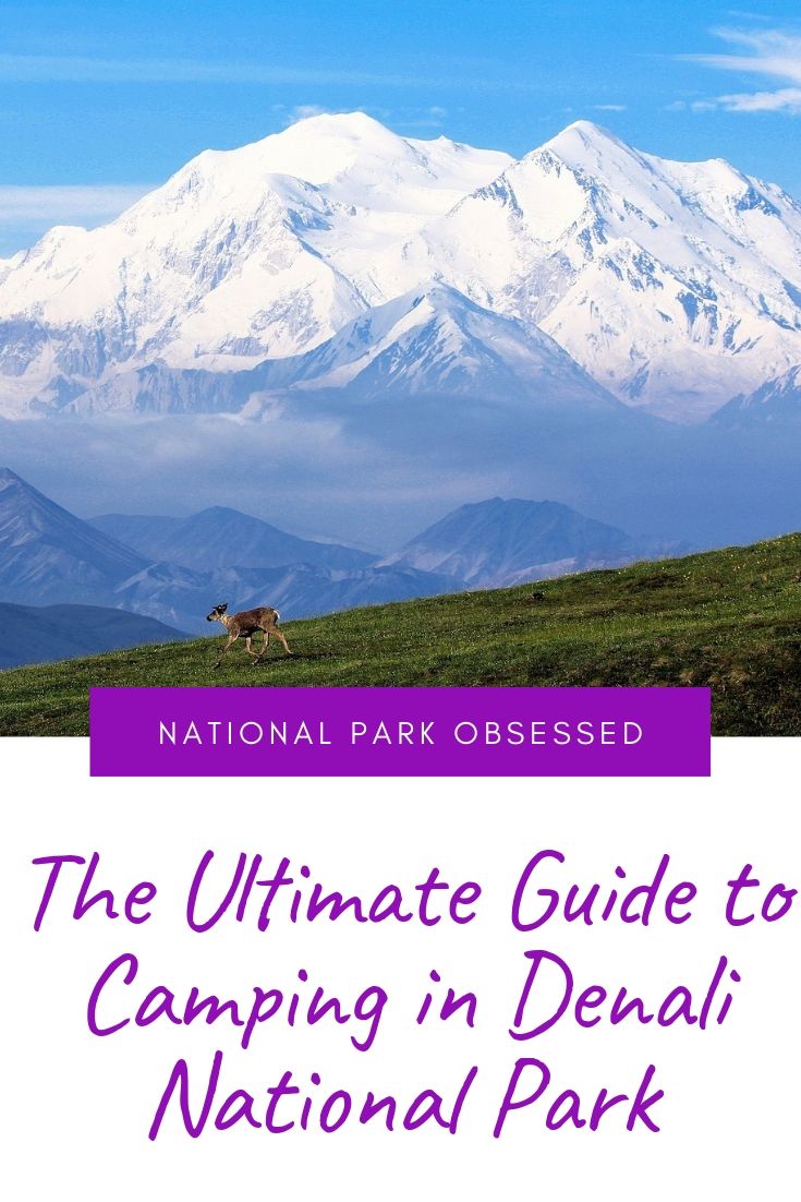 Denali National Park Camping The Definitive Guide To Camping In Denali