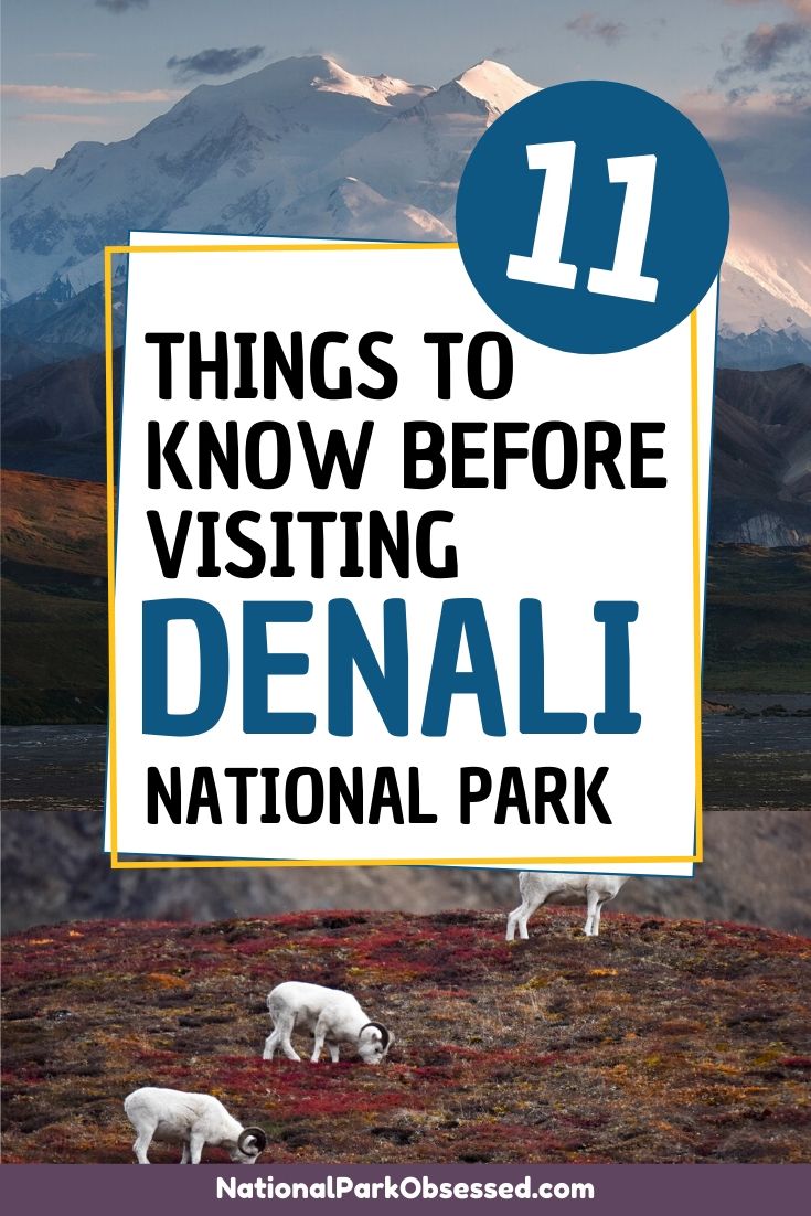 DENALI NATIONAL PARK AND PRESERVE THINGS TO DO visual data 5