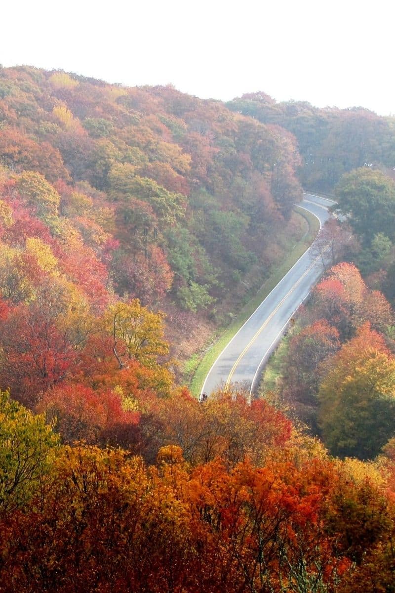 national-parks-in-north-carolina-explore-the-10-north-carolina