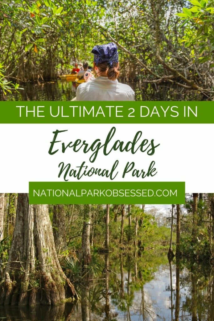 Looking to spend two days in Everglades National Park? Here is everything you need to know to make the most of your weekend in Everglades National Park.

things to do in the everglades / weekend in the everglades / two days in the everglades / #findyourpark #everglades / everglades itinerary