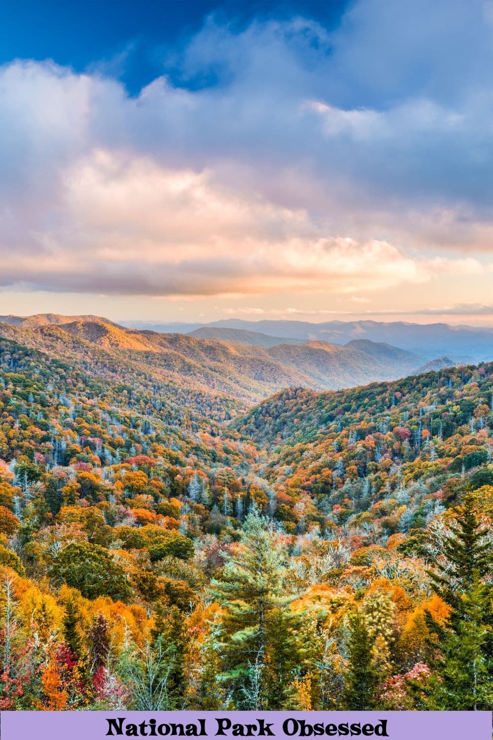 11 Things To Know Before Visiting Great Smoky Mountains National Park ...