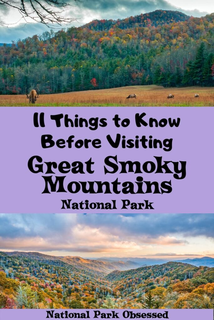 Planning a trip to the Smokies and don't know where to start? Here are 16 things to know before visiting Great Smoky Mountains National Park