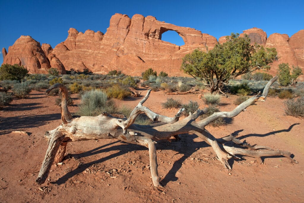 Skyline Arch