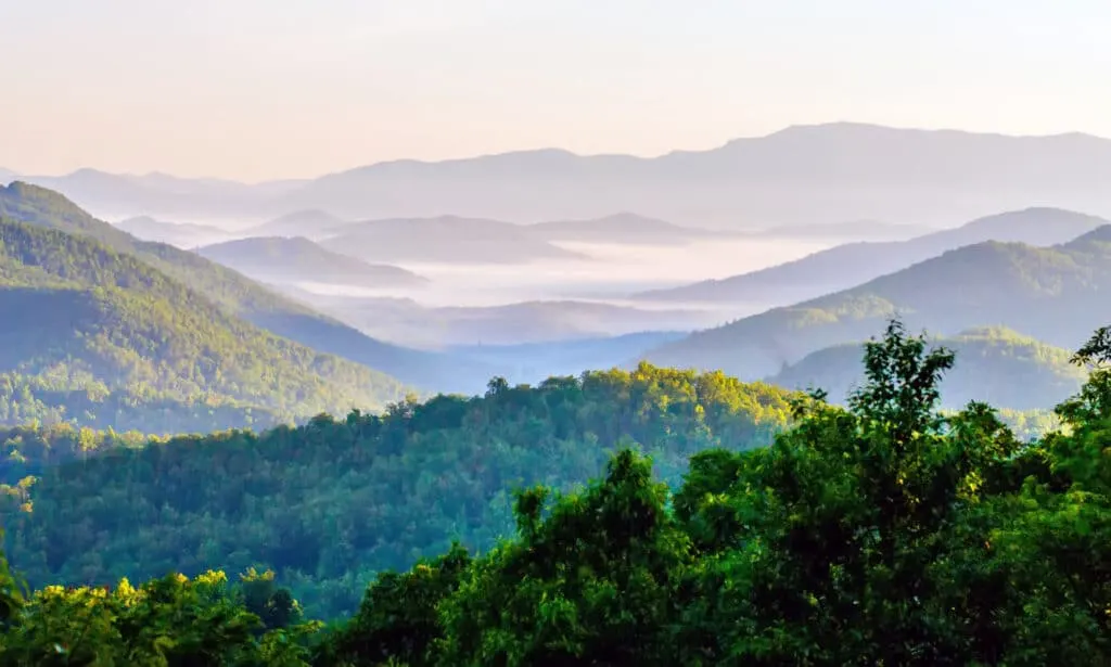 foggy scenic view in Great Smokies