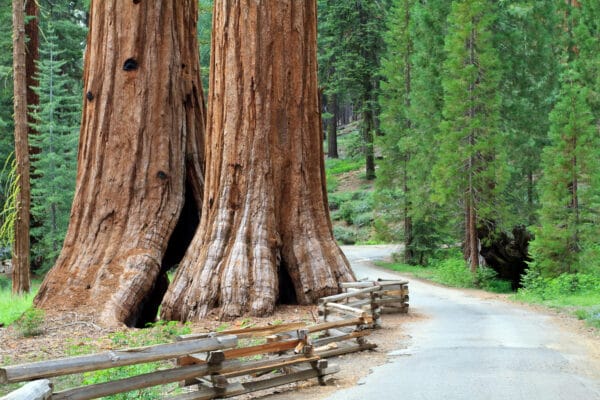 How To Make The Most Of A Weekend In Yosemite National Park - National ...