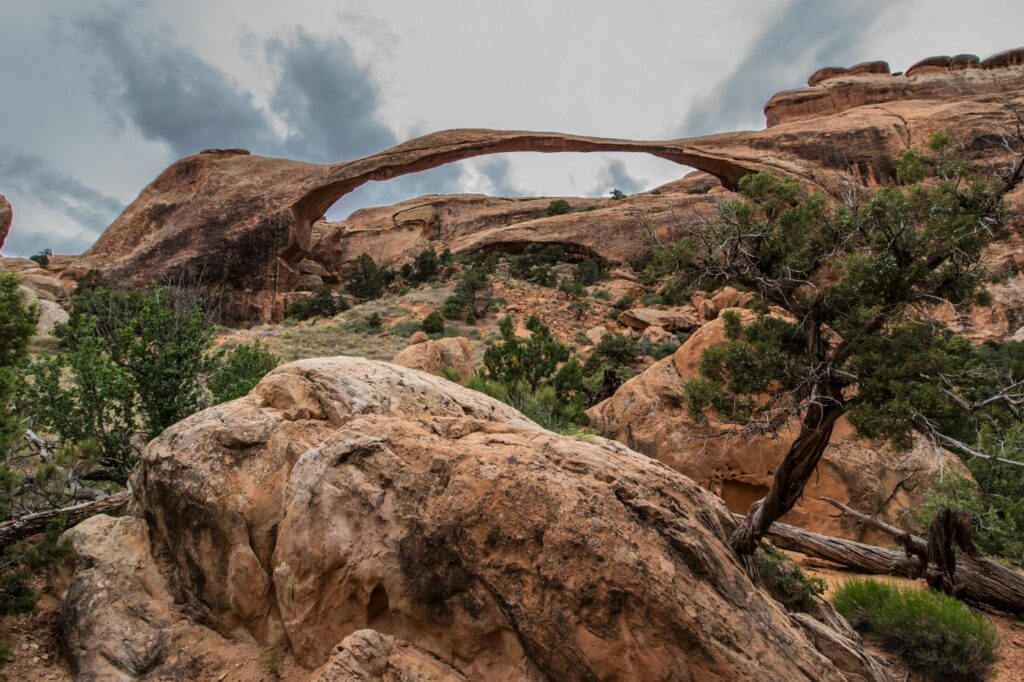  Best Guided Day Tours in Arches National Park