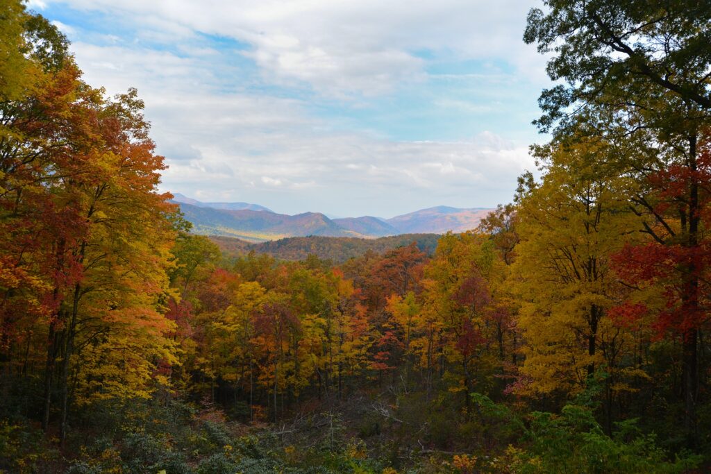 Fall in the Smokies