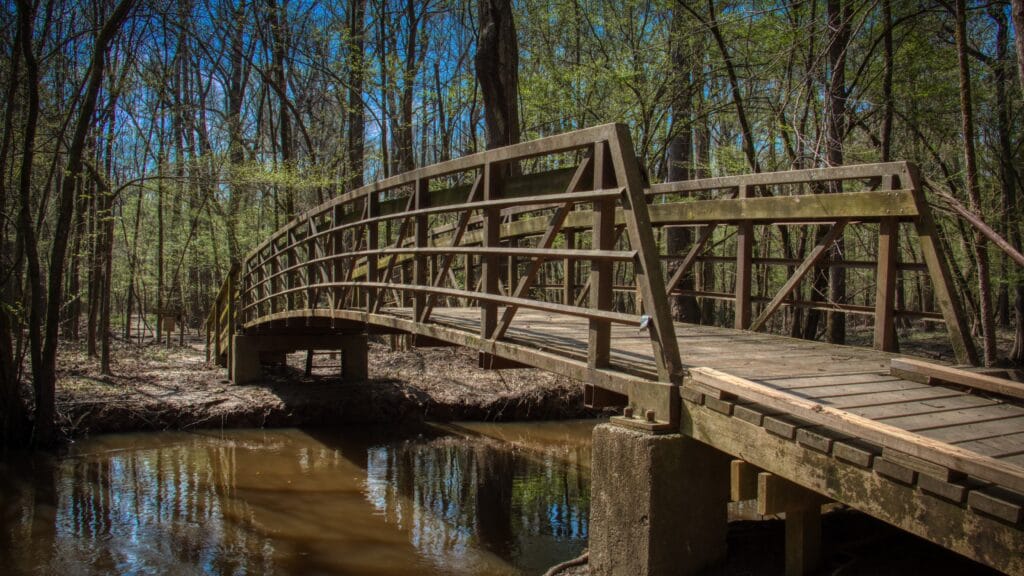 Bridge in Congaree