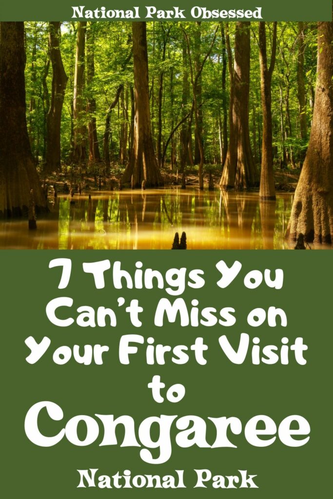 Planning your first visit to Congaree? Here are 7 things not to miss on your first visit to Congaree National Park. Includes canoeing, hiking, and other amazing activities.  Congaree National Park things to do / Things to do in Congaree National Park