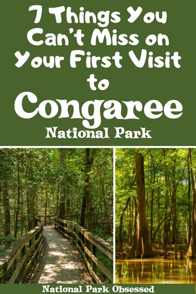 7 Can't-Miss Georgia State Parks for Your Bucket List