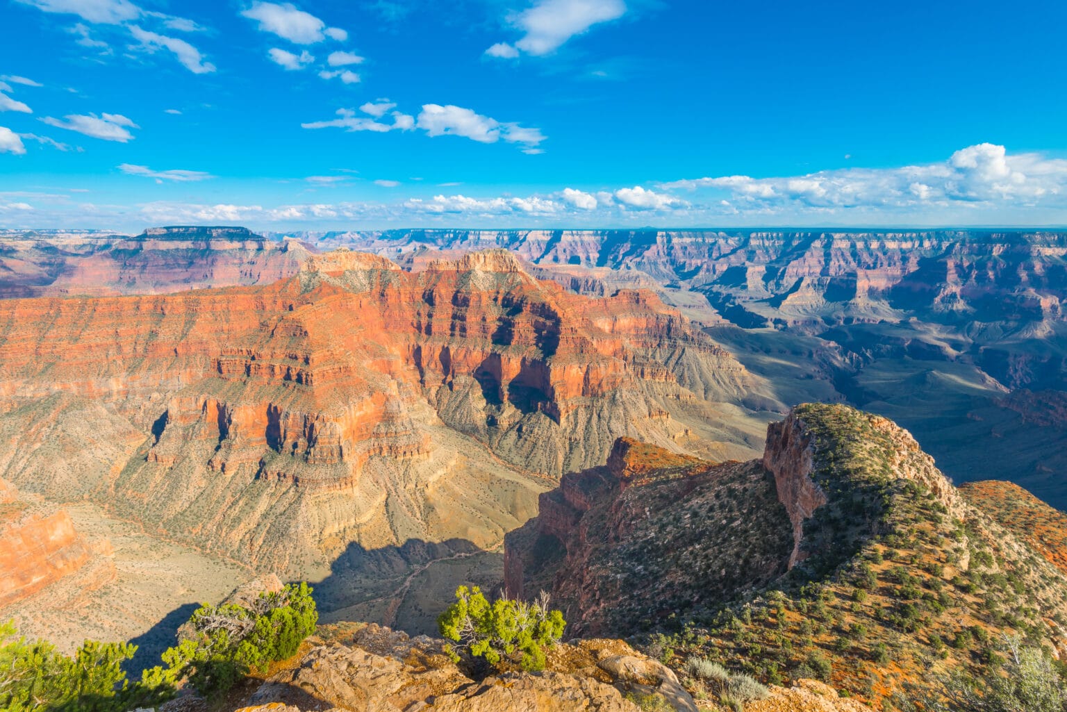 17 Things You Can't Miss On Your First Visit To Grand Canyon National