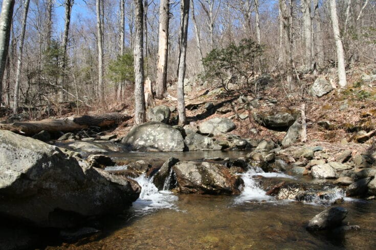 How To Spend An Amazing Weekend In Shenandoah National Park - National ...