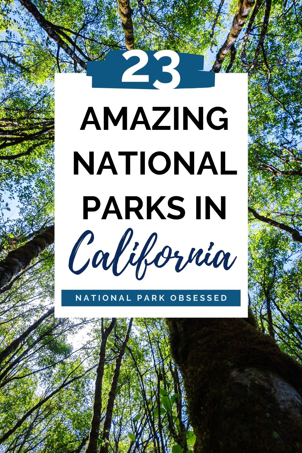 National Parks Of California - National Park Obsessed