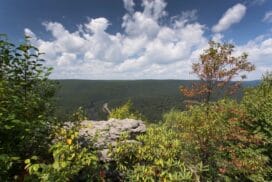 The Complete List Of US National Forests - National Park Obsessed