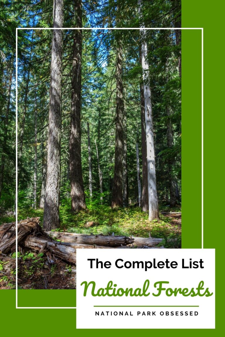 The Complete List Of US National Forests National Park Obsessed